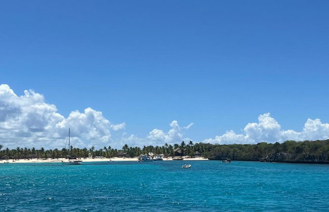 Explore Catalina Island and Altos de Chavon - Full-Day Tour - Foto 2